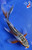 9" Midnight Shusui Butterfly Koi #J6125(P14)