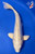 Copy of 9" Platinum Koi #K6231(Q2)