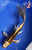 9.5" "Gold Dust" Metallic Matsuba Butterfly Koi #J62512(X41)