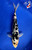 8.5" "Domino" Doitsu Shiro Bekko Koi #J62513(X38)