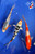 (3) 7-8" Elite Koi Trio #J62520(X8)