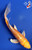 8.5" "Mellow Yellow" Hariwake Butterfly Koi #J62528(X47)