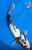 14" Shiro Utsuri Koi #K7118(S9)