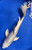 12" "Moonbeam" Platinum Ogon Butterfly Koi #J7915(S6)
