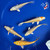 (5) 4-5" Koi "Sunshine Collection" #J7924(K3)