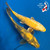 (2) 9" "GO HAWKS!" Ki Utsuri Koi Pair #K7242(X2)