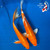 (2)  10-11" "Bonnie & Clyde" Koi Couple #K7247(X10)