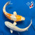 (2)  8-9" "Sun & Moon" Koi Couple #K7248(X10)