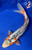 12" "Kai" Shusui Koi #J72323(P2)