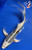 11.5" "Comet" Kujaku Butterfly Koi #J72324(P2)