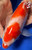 11" "Dottie" Kohaku Koi #J72332(Q1)