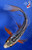 6" "Sora" Shusui Butterfly Koi #J845(H3)
