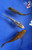 (3) 4-5" "Sparkle Koi Collection #J8419(H7)