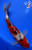 10" "Poppy" Sanke Koi #J8416(Q9)