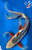 20" "Delilah" Shusui Butterfly Koi #J8113(S2)