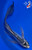 9.5" "Blue Moon" Shusui Butterfly Koi #J8713(P6)