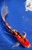 12" "Lulu" Sanke Butterfly Koi #J8196(Q7)