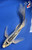 11.5" "Blue Moon" Shusui Butterfly Koi #J8261(X16)