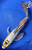 12" "Bluebird" Shusui Butterfly Koi #J8265(X18)