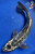 12.5" "Storm" Beni Kumonryu Koi #J8215(P6)