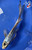 11" "Sapphire" Kumonryu Butterfly Koi #J82614(X40)