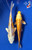 (2) 8" Koi Pair "Hansel & Gretel" #J9318(P13)