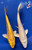 (2) 6" "Sun & Moon" Ogon Koi Pair  #J9327(H1)