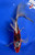 10" "Betty" Beni Kumonryu Butterfly Koi #J91219(P12)