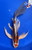 10" "Lucy" Beni Kikokuryu Butterfly Koi #J91223(P12)
