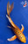 7.5" "Chester" Doitsu Kin Matsuba Butterfly Koi #J9184(P6)