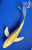 6" "Daffodil" Yamabuki Ogon Butterfly Koi #J91849(P12)