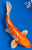 12" "Esme" Hariwake Koi #K1076(U5)