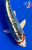 7.5" “Zipper” Beni Kumonryu Koi #J92614(P5)