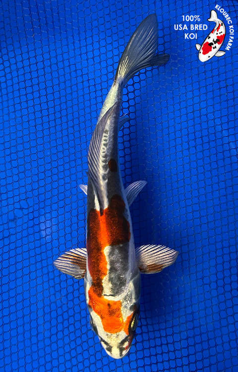 7.5