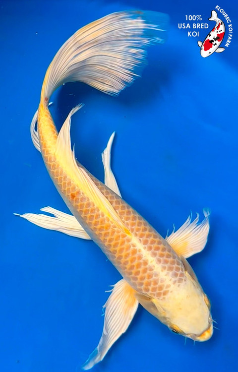 92218__00001.1759173623.500.