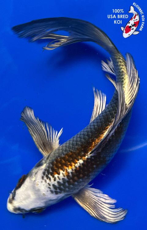 8.5