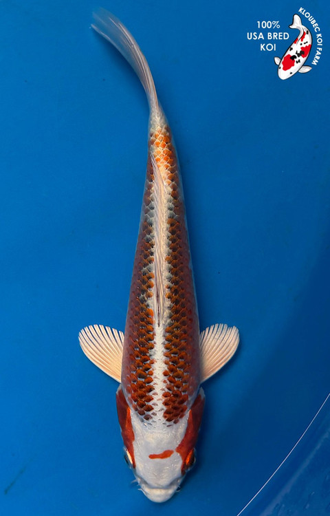 7.5