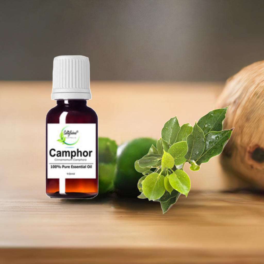 Camphor Essential Oil Saltylicious® Bath Body and Beauty