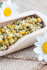 Dried Chamomile Flowers