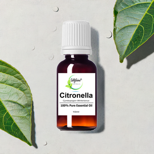 Citronella Essential Oil