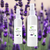  Lavender Magnesium Oil Spray  
