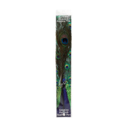 Peacock Feather Quills - Custom Packaged Ballpoint Pen Pack 48