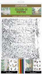 Colour-in Posters - Countryside