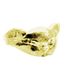 Children's Gold Plated Ring - Victorian - Cat Face