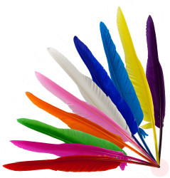Goose Feather Quills Mixed colours - packed in 250's