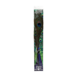 Peacock Feather Quills - Packaged Ballpoint Pen