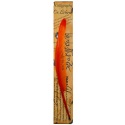 Goose Quills with Shakespeare Signature in Shakespeare Packaging