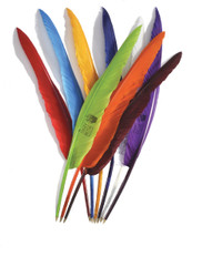 Goose Quills Light Colours - Black Ink Printed  - REPEAT CUSTOM DESIGN