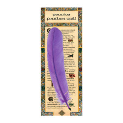 Writing Quills - Celtic Ballpoint Pen - Pack of 48