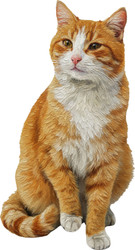 Cutout Magnets - Themed - Cat